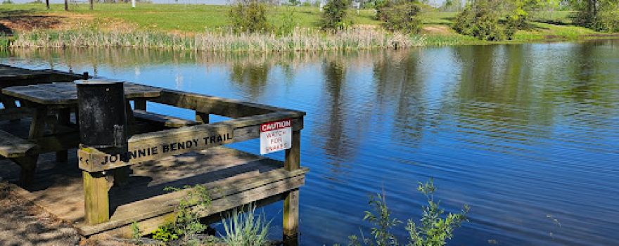 Mineola Disc Golf Course