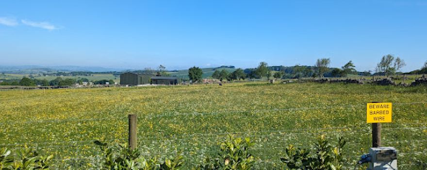 Trail view campsite