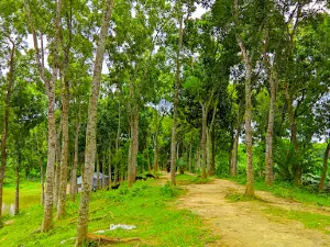 Dhol Samudra Pond