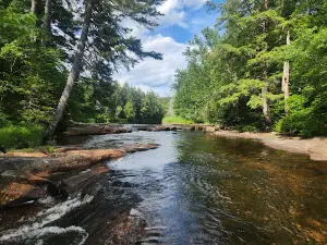 Ferris Lake Wild Forest