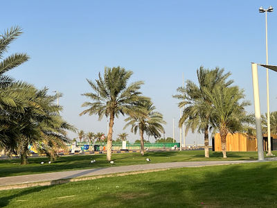Green Mubazzarah Lake