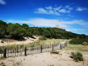 Plage de Fautea