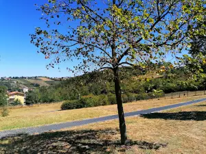 Parco Laiala