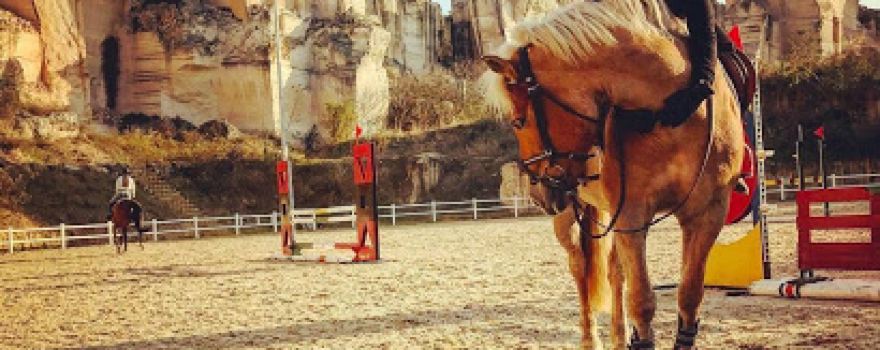 Circolo Ippico Horse Club Terra Jonica