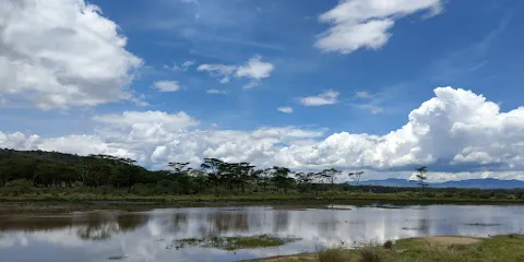Baboon Cliff View Point