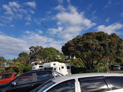 Hot Water Beach - Main Beach Parking