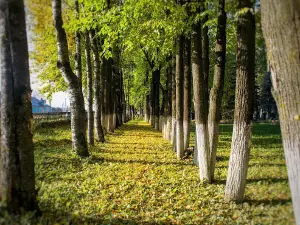 Park Glory to the heroes