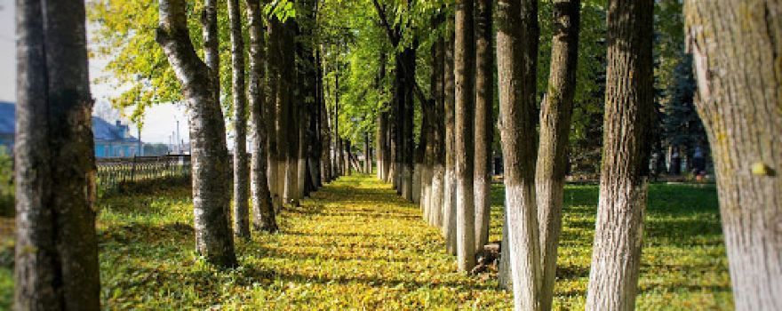 Park Glory to the heroes