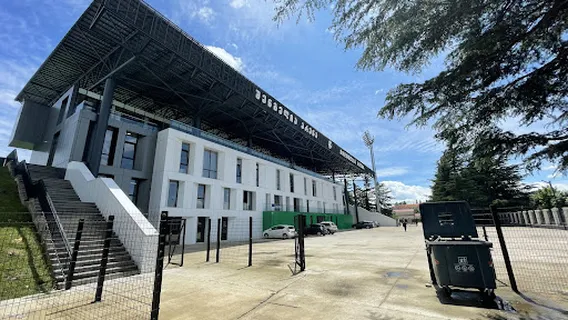 Ramaz Shengelia FC Torpedo Kutaisi Stadium