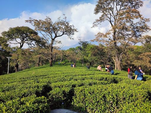 Himalayan Brew Factory Outlet