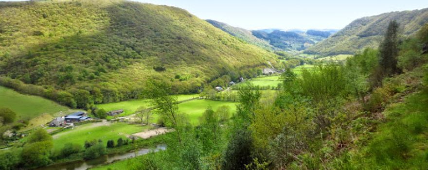 Afon Rheidol