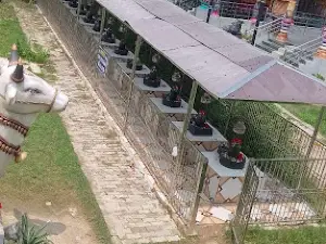 Tikarmafi