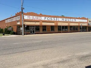 Mt. Blanco Fossil Museum