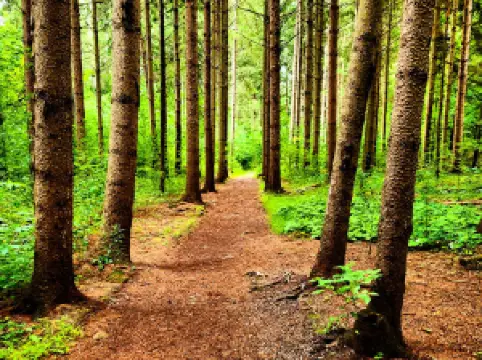 나플스 크릭 보호관리지구