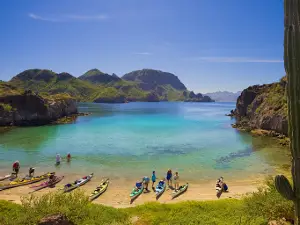 Sea Kayak Adventures