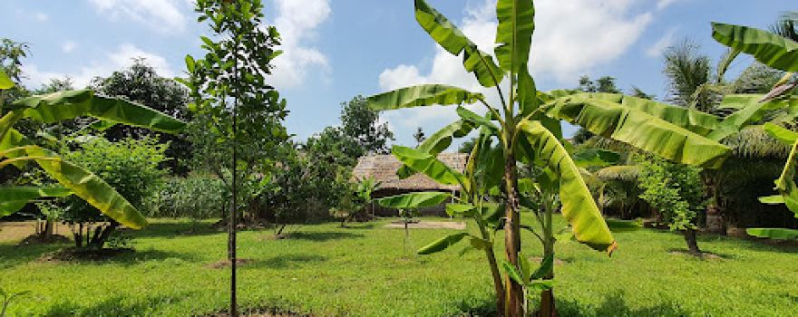 Cụm di tích Hoàng Trù