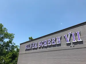 Silver Screen VII
