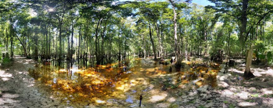 White Loop Group Campsite