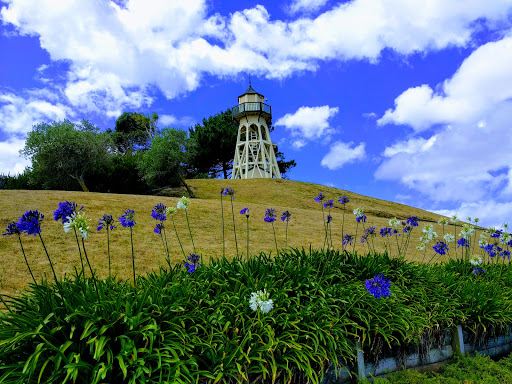 Cooks Gardens