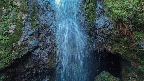 Tangga Kenari Titi Hayun