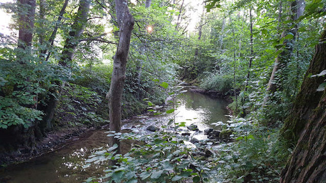 Brühlweg Spielplatz Unterweissach