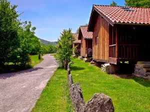 Camping Picos de Europa