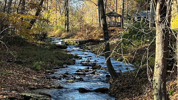 Camp Andrews