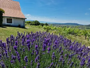 Balaton Uplands National Park