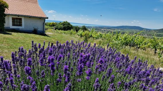 Balaton Uplands National Park
