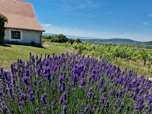 Balaton Uplands National Park