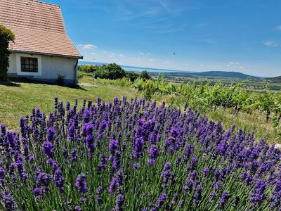 Balaton Uplands National Park