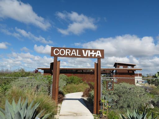 Coral Vita Grand Bahama Coral Farm