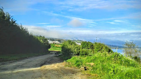 Cerro Mirador Hueihuen