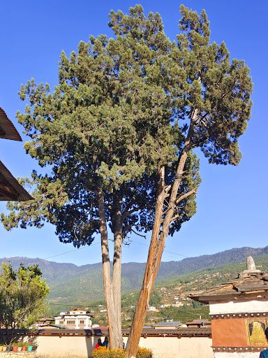 Dumgtseg Lhakhang