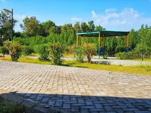Children Park