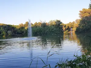 Nature Reserve Pineta Dannunziana