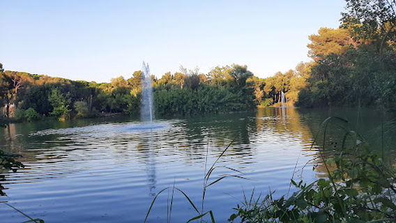 Nature Reserve Pineta Dannunziana