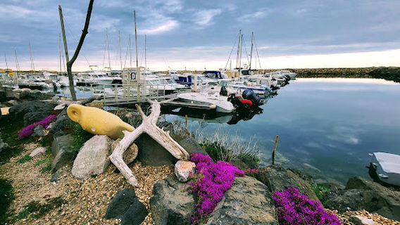 Promenade du front de Mer