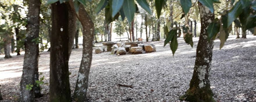 parco Il Tondo