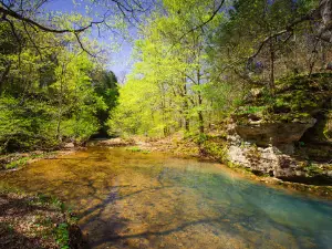 Redbud Campground