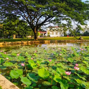 Kebun raya bogor