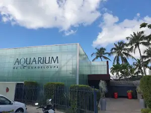 Aquarium de la Guadeloupe