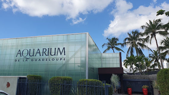 Aquarium of Guadeloupe