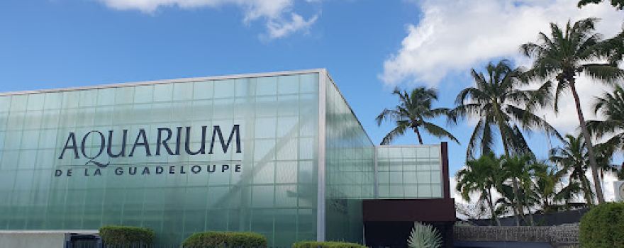 Aquarium of Guadeloupe