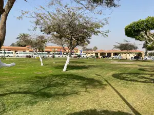 Aldunfah Beach Club