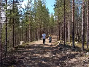 Oranki Art - Environmental Art Exhibition