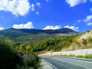 Mersin Barosu Hatıra Ormanı