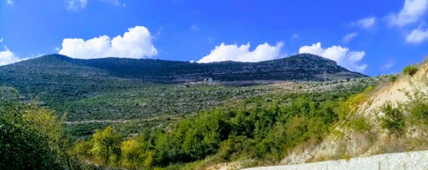 Mersin Barosu Hatıra Ormanı
