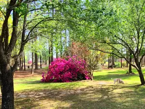 Northeast Creek Park