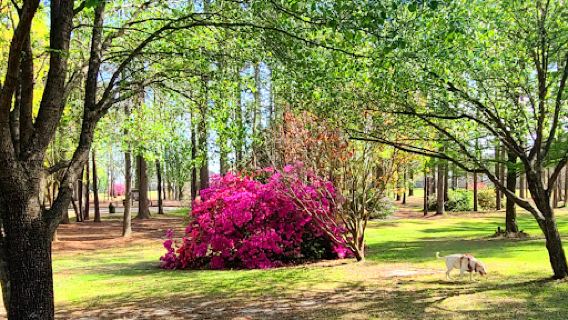 Northeast Creek Park